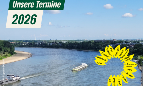 Grünes Sonnenblumenlogo vor Rheinansicht Richtung Ensen